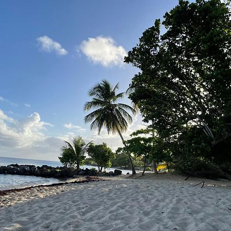 Villa Caraibes Sainte-Luce Eksteriør bilde