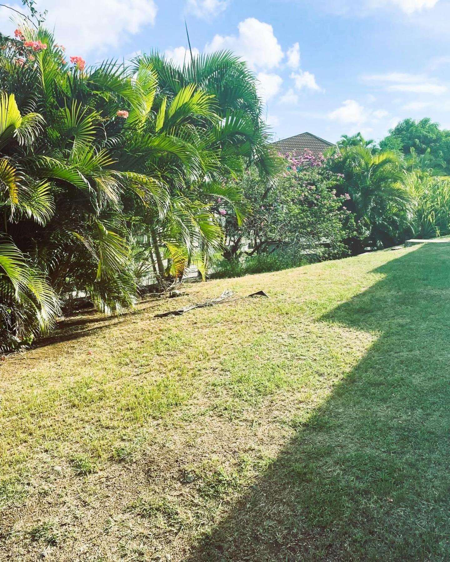 Villa Caraibes Sainte-Luce Eksteriør bilde