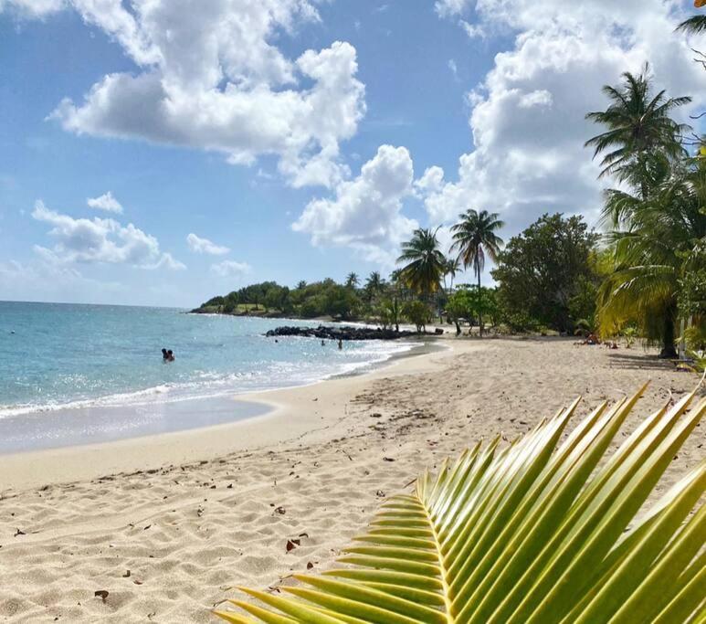 Villa Caraibes Sainte-Luce Eksteriør bilde