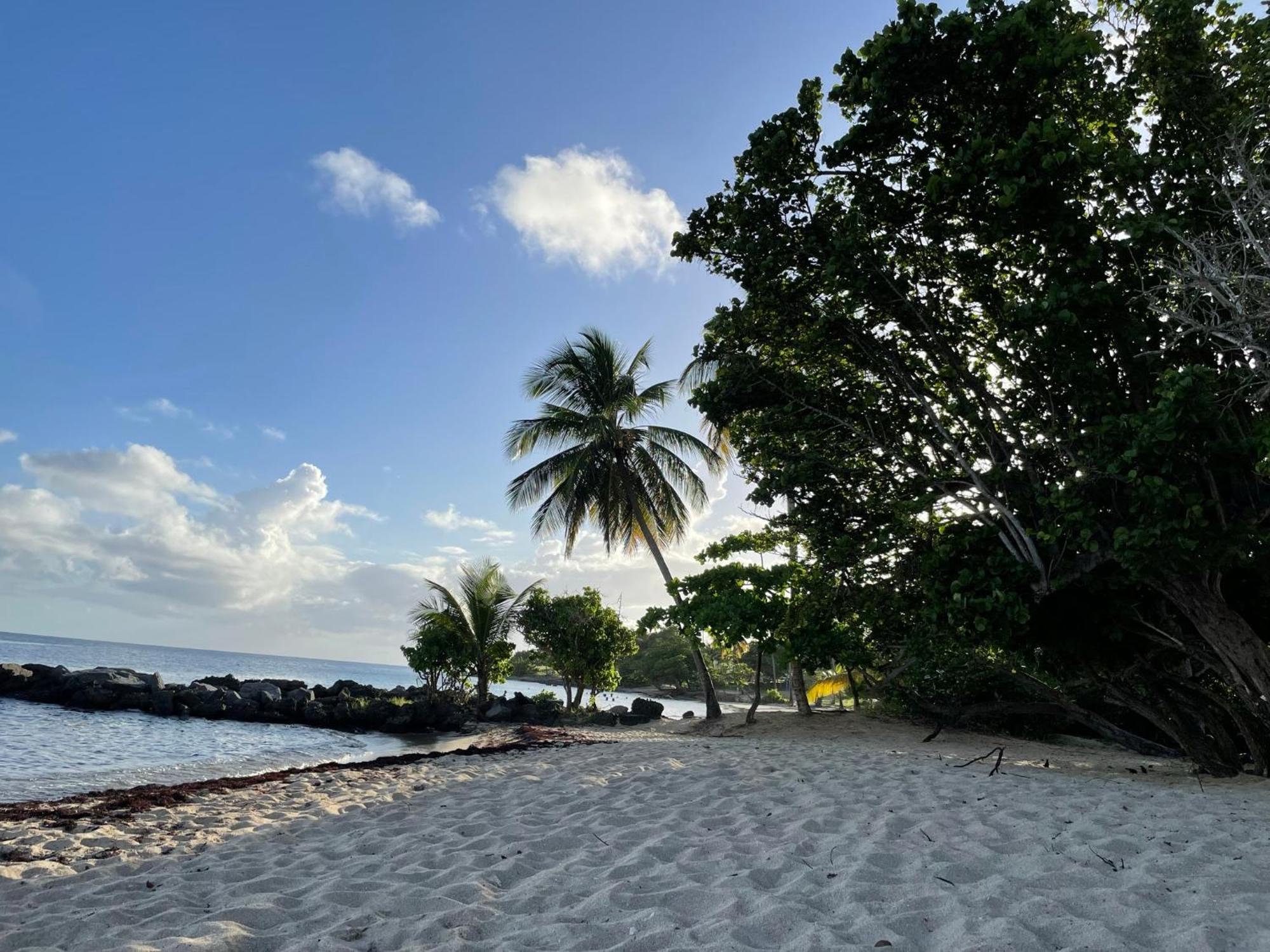 Villa Caraibes Sainte-Luce Eksteriør bilde